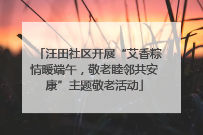 汪田社区开展“艾香粽情暖端午，敬老睦邻共安康”主题敬老活动