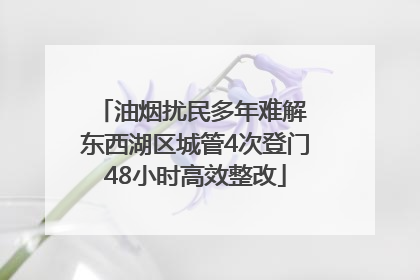 油烟扰民多年难解 东西湖区城管4次登门48小时高效整改