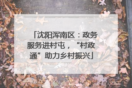 沈阳浑南区：政务服务进村屯，“村政通”助力乡村振兴