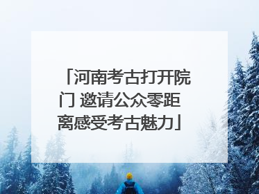 河南考古打开院门 邀请公众零距离感受考古魅力