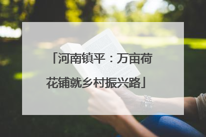 河南镇平：万亩荷花铺就乡村振兴路