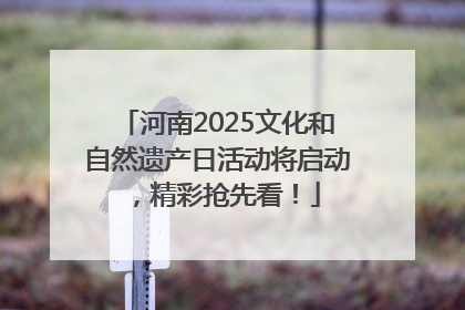 河南2025文化和自然遗产日活动将启动，精彩抢先看！