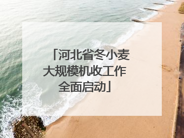 河北省冬小麦大规模机收工作全面启动