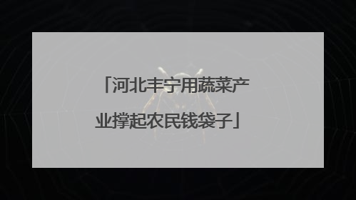 河北丰宁用蔬菜产业撑起农民钱袋子
