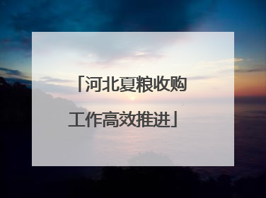河北夏粮收购工作高效推进