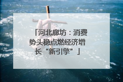 河北廊坊：消费势头稳点燃经济增长“新引擎”