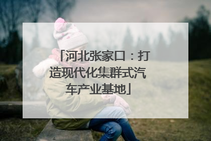 河北张家口：打造现代化集群式汽车产业基地