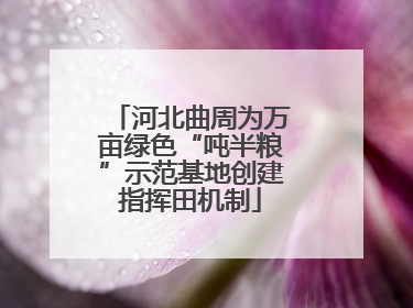 河北曲周为万亩绿色“吨半粮”示范基地创建指挥田机制