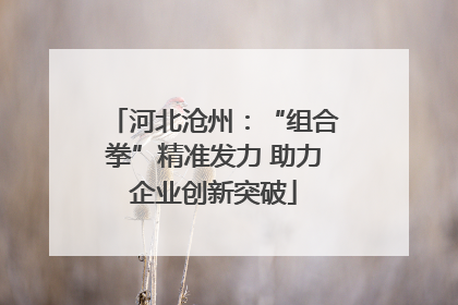 河北沧州：“组合拳”精准发力 助力企业创新突破