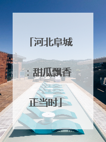河北阜城：甜瓜飘香正当时