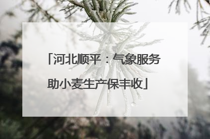 河北顺平：气象服务助小麦生产保丰收