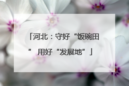 河北：守好“饭碗田” 用好“发展地”