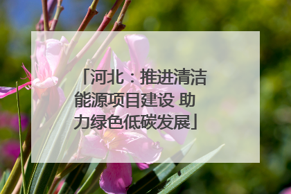 河北：推进清洁能源项目建设 助力绿色低碳发展