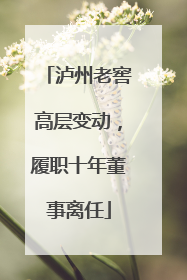 泸州老窖高层变动，履职十年董事离任