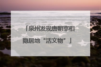 泉州发现唐朝宰相隐居地“活文物”