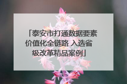 泰安市打通数据要素价值化全链路 入选省级改革精品案例