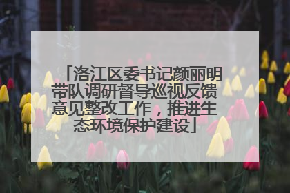 洛江区委书记颜丽明带队调研督导巡视反馈意见整改工作，推进生态环境保护建设