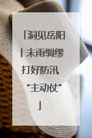 洞见岳阳丨未雨绸缪 打好防汛“主动仗”