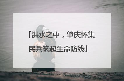 洪水之中，肇庆怀集民兵筑起生命防线