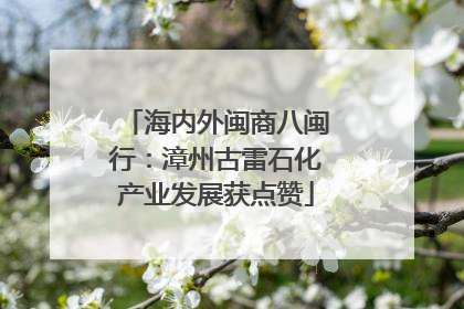 海内外闽商八闽行：漳州古雷石化产业发展获点赞
