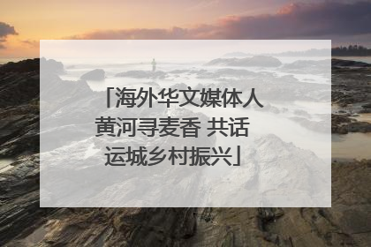 海外华文媒体人黄河寻麦香 共话运城乡村振兴