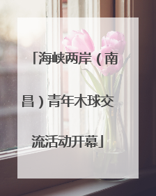 海峡两岸（南昌）青年木球交流活动开幕
