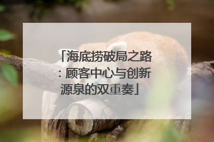 海底捞破局之路：顾客中心与创新源泉的双重奏