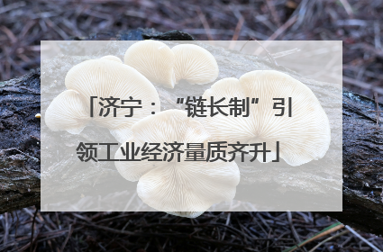 济宁：“链长制”引领工业经济量质齐升