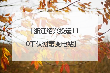 浙江绍兴投运110千伏谢慕变电站