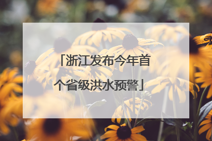 浙江发布今年首个省级洪水预警