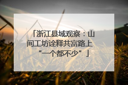 浙江县域观察：山间工坊诠释共富路上“一个都不少”