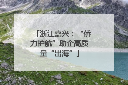 浙江嘉兴：“侨力护航”助企高质量“出海”