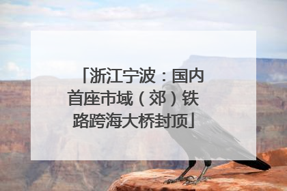 浙江宁波：国内首座市域（郊）铁路跨海大桥封顶