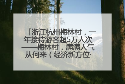 浙江杭州梅林村，一年接待游客超5万人次——梅林村，满满人气从何来（经济新方位·农村消费观察）
