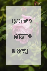 浙江武义：荷花产业助致富