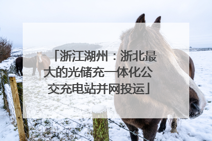 浙江湖州：浙北最大的光储充一体化公交充电站并网投运