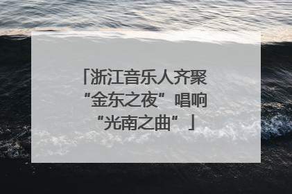 浙江音乐人齐聚“金东之夜”唱响“光南之曲”