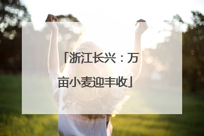 浙江长兴：万亩小麦迎丰收