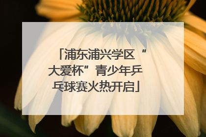 浦东浦兴学区“大爱杯”青少年乒乓球赛火热开启
