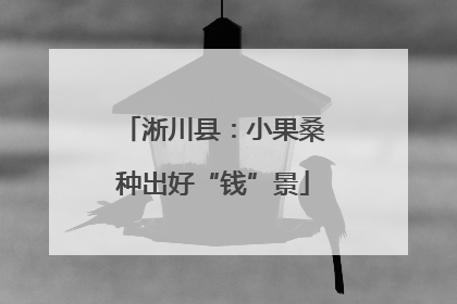 淅川县：小果桑种出好“钱”景