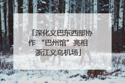 深化义巴东西部协作 “巴州馆”亮相浙江义乌机场