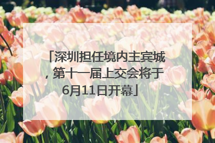 深圳担任境内主宾城，第十一届上交会将于6月11日开幕