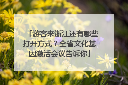 游客来浙江还有哪些打开方式？全省文化基因激活会议告诉你