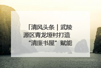 清风头条｜武陵源区青龙垭村打造“清廉书屋”赋能乡村振兴新风尚