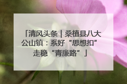 清风头条｜桑植县八大公山镇：系好“思想扣” 走稳“青廉路”