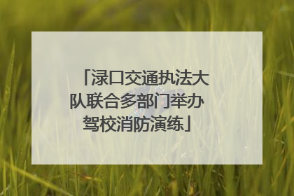 渌口交通执法大队联合多部门举办驾校消防演练