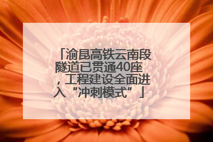 渝昆高铁云南段隧道已贯通40座，工程建设全面进入“冲刺模式”