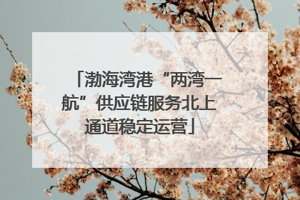 渤海湾港“两湾一航”供应链服务北上通道稳定运营