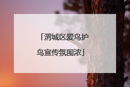 渭城区爱鸟护鸟宣传氛围浓