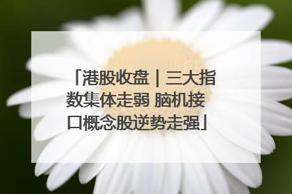港股收盘｜三大指数集体走弱 脑机接口概念股逆势走强